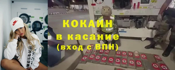 стаф Алексин
