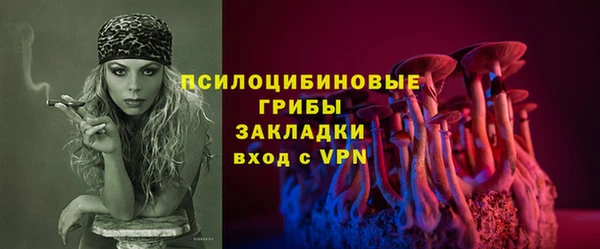 стаф Алексин