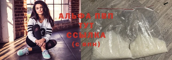 стаф Алексин