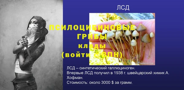 стаф Алексин